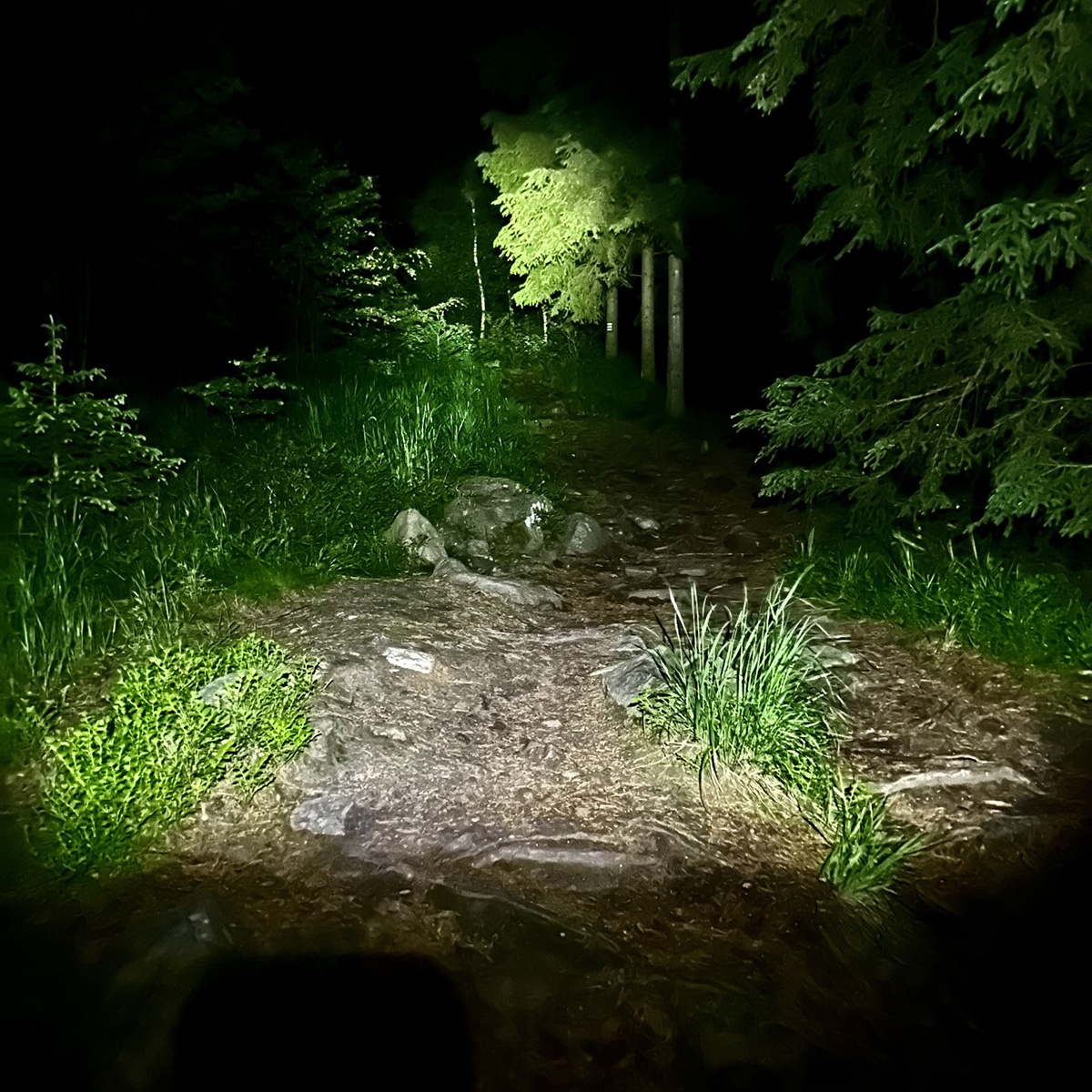 Běhej lesy Týmovka